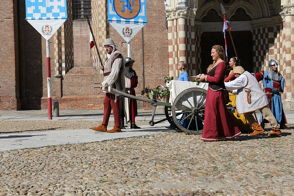 -388- COMUNE DI NIZZA MONFERRATO.jpg